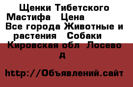 Щенки Тибетского Мастифа › Цена ­ 90 000 - Все города Животные и растения » Собаки   . Кировская обл.,Лосево д.
